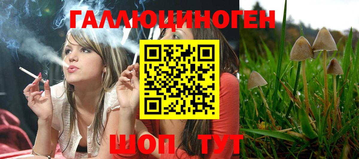 Галлюциногенные грибы MAGIC MUSHROOMS Сорочинск
