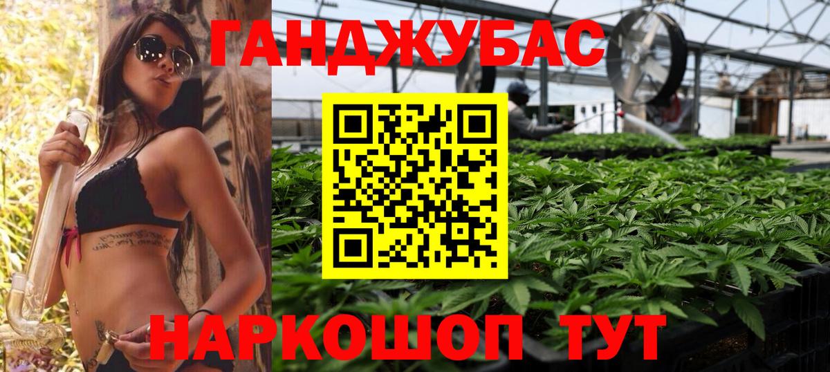 МАРИХУАНА сатива Сорочинск